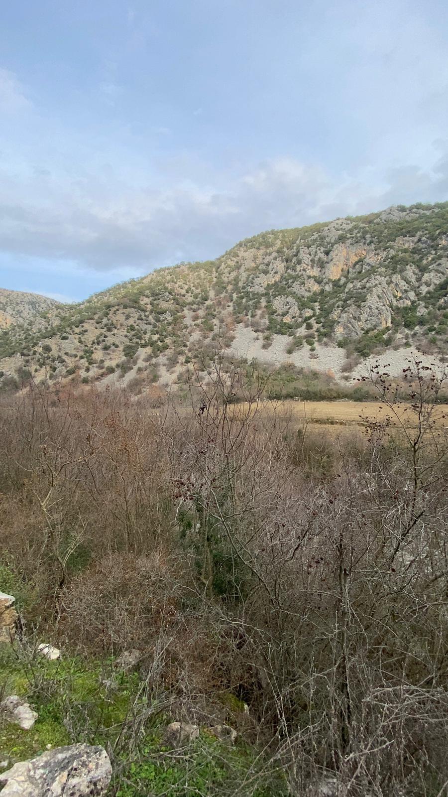 MABEL'DEN FIRSAT YATIRIMLIK DEV ARAZİ